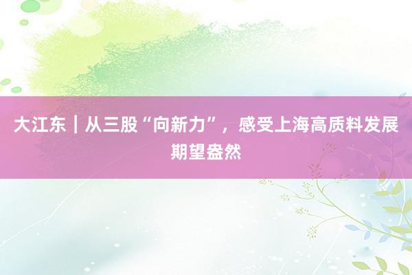 大江东︱从三股“向新力”，感受上海高质料发展期望盎然