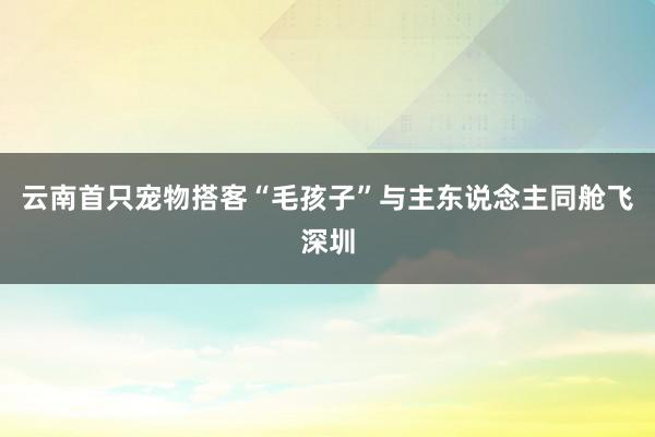 云南首只宠物搭客“毛孩子”与主东说念主同舱飞深圳