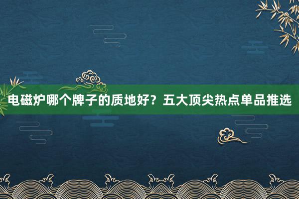 电磁炉哪个牌子的质地好？五大顶尖热点单品推选