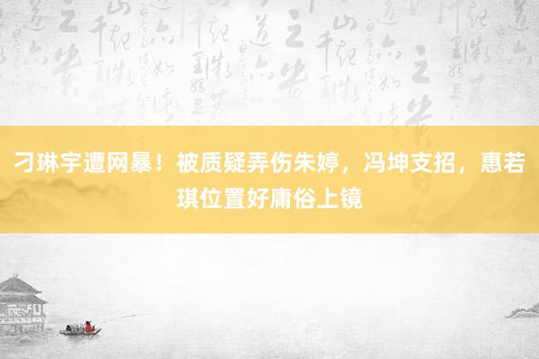 刁琳宇遭网暴！被质疑弄伤朱婷，冯坤支招，惠若琪位置好庸俗上镜