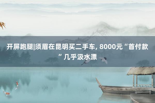 开屏跑腿|须眉在昆明买二手车, 8000元“首付款”几乎汲水漂