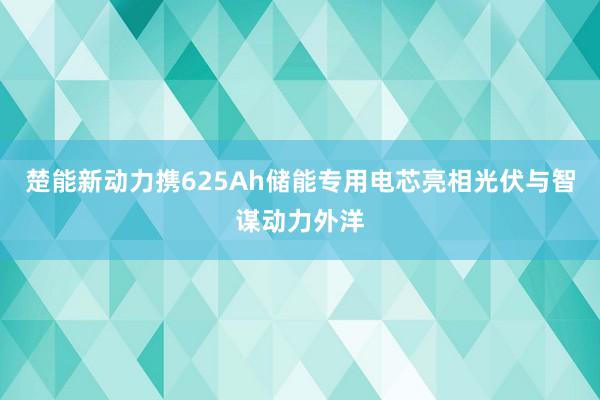 楚能新动力携625Ah储能专用电芯亮相光伏与智谋动力外洋