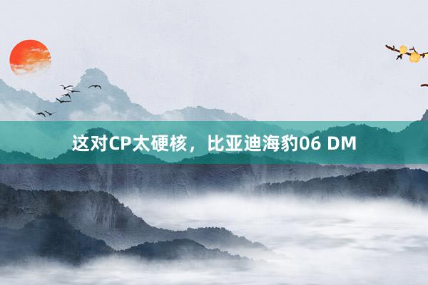 这对CP太硬核，比亚迪海豹06 DM