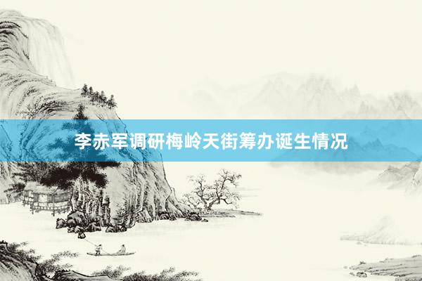 李赤军调研梅岭天街筹办诞生情况