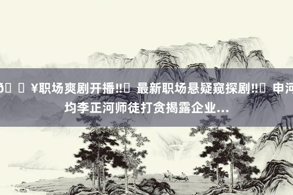 🔥职场爽剧开播‼️最新职场悬疑窥探剧‼️申河均李正河师徒打贪揭露企业...