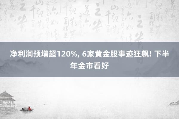 净利润预增超120%, 6家黄金股事迹狂飙! 下半年金市看好