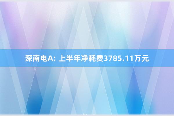 深南电A: 上半年净耗费3785.11万元