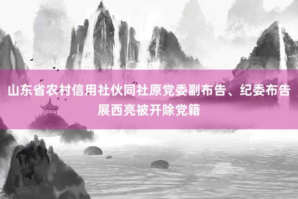 山东省农村信用社伙同社原党委副布告、纪委布告展西亮被开除党籍