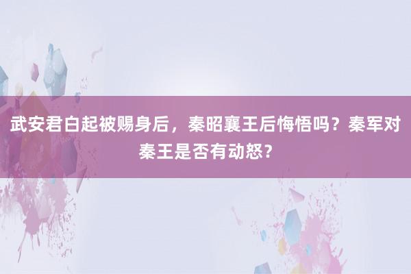 武安君白起被赐身后，秦昭襄王后悔悟吗？秦军对秦王是否有动怒？