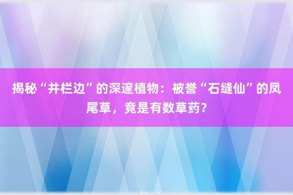 揭秘“井栏边”的深邃植物：被誉“石缝仙”的凤尾草，竟是有数草药？